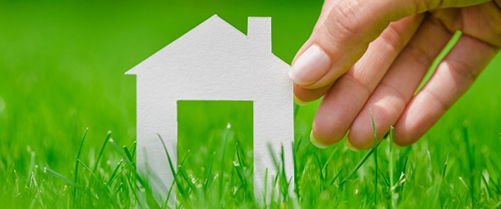 House_cutout_in_grass_-_guest_proposal