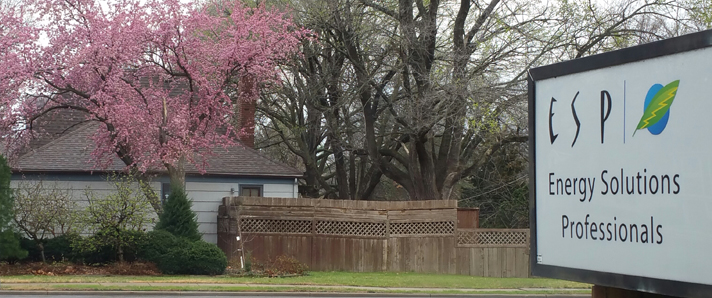 Sping_at_ESP_2017_web